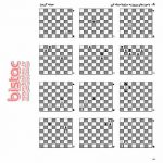 Chess Practice Books-bistac-ir02