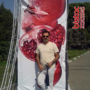 Pomegranate Festival-bistac-ir01