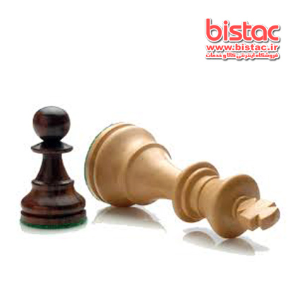 Professional chess player-bistac-ir.jpg