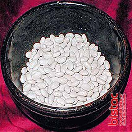 White Bean Extract-bistac-ir
