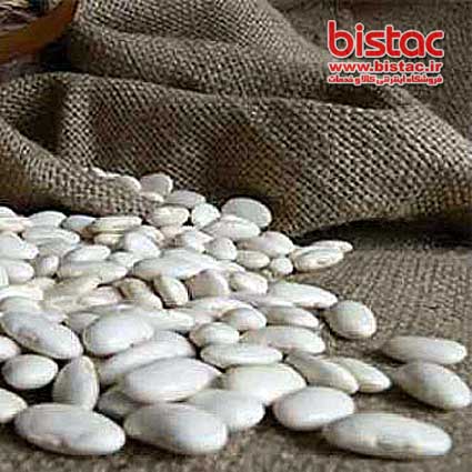White Bean Nutrition Tips-bistac-ir