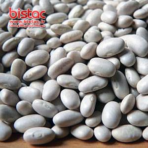 White beans packed shokraneh-bistac-ir02