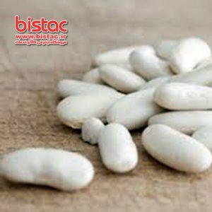 White beans packed shokraneh-bistac-ir03