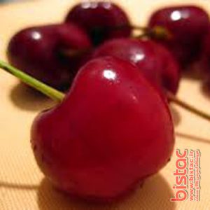 Buy cherry-bistac-ir01