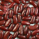 Red beans packed shokraneh-bistac-ir04
