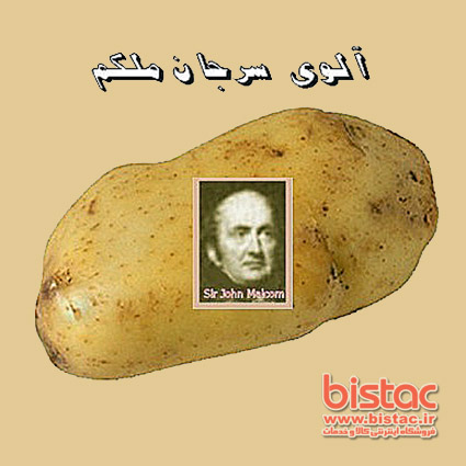 Potato Bugs-bistac-ir00