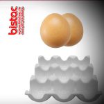 egg-holder-9-ceramic-houses-bistac-ir03