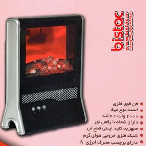 2000-watt-decorated-fan-electric-fireplace-bistac-ir00