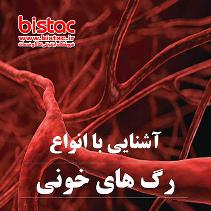 Types of blood vessels-bistac-ir00