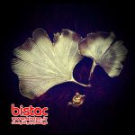 swamp-flower-confectionery-accessory-bistac-ir00
