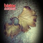 swamp-flower-confectionery-accessory-bistac-ir02