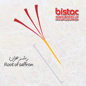 Economic saffron - spice of the sun-bistac-ir05