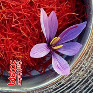 Therapeutic properties of saffron-bistac-ir01